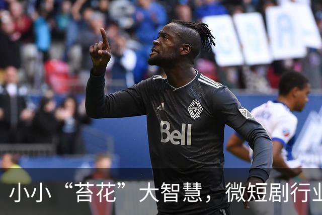 小小“苔花”大智慧，微短剧行业的新机遇